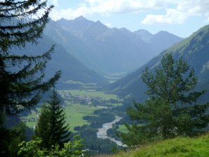 DSC00697
