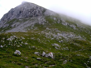 DSC01017