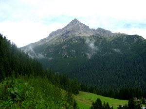 DSC01195