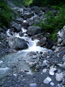 DSC08009