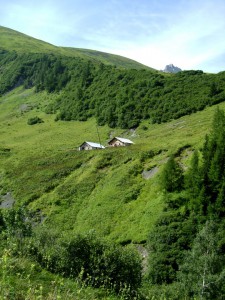 DSC08025