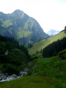 DSC08089