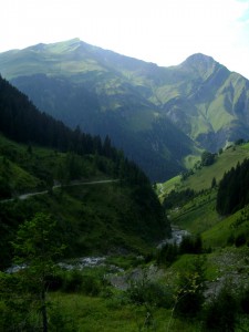 DSC08091