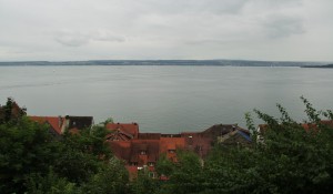 IMG 3937