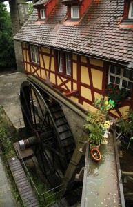 IMG 3941