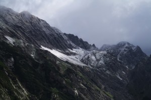 IMG 3968