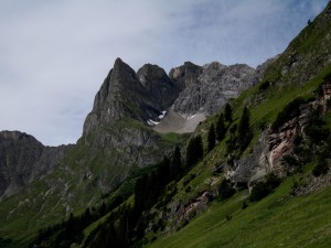 IMG 4415 
