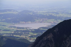 IMG 4451