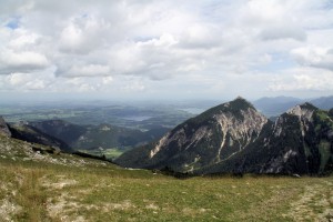 IMG 4495