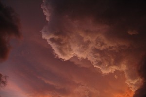 IMG 4819