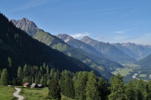 IMG 7224