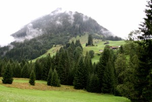IMG 9267