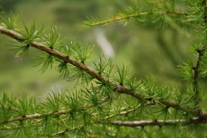 IMG 9749