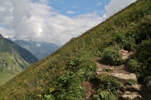 IMG 9785