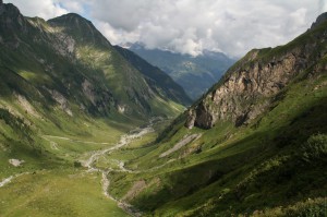 IMG 9791