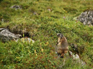 IMG 9803